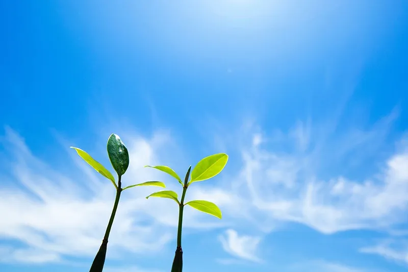 未経験から安心スタート!訪問介護の魅力と成長の道